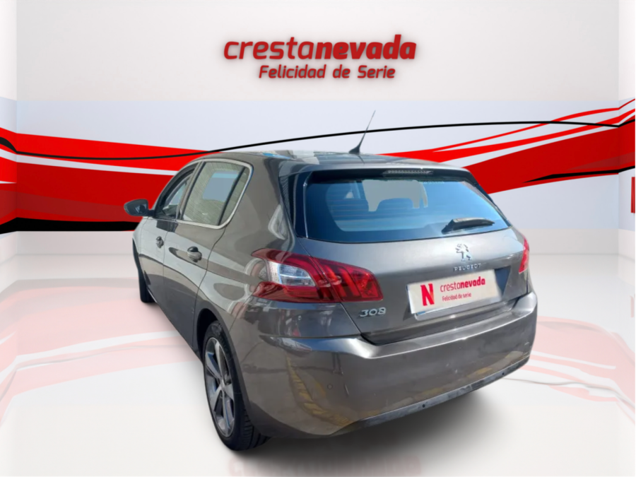 Imagen de Peugeot 308