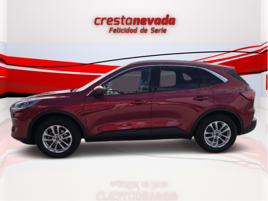 Imagen de Ford Kuga