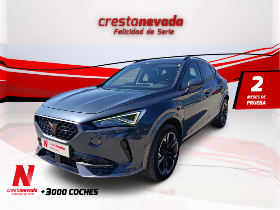 Imagen de cupra Formentor