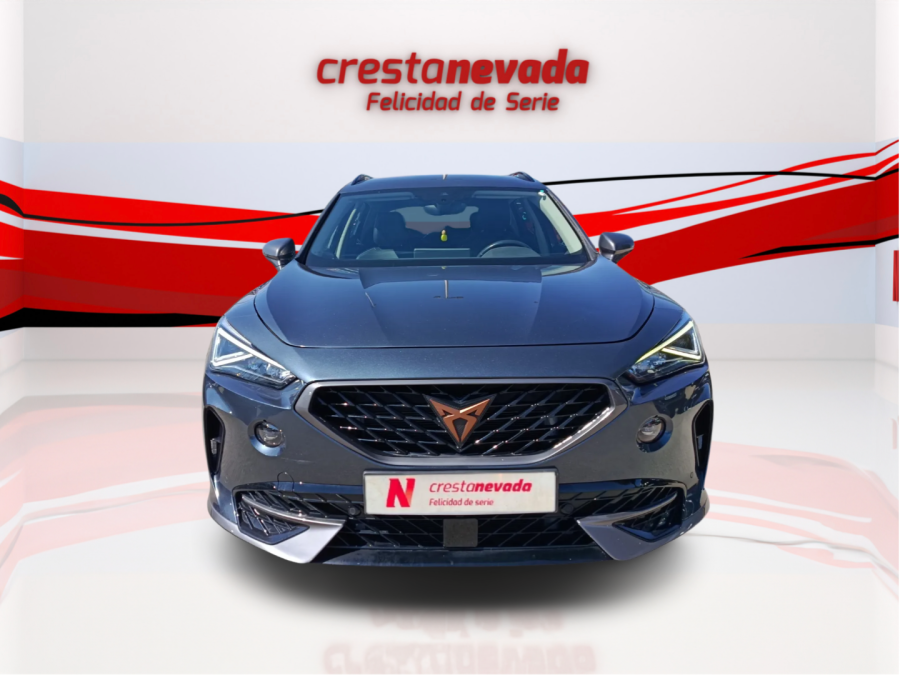 Imagen de cupra Formentor
