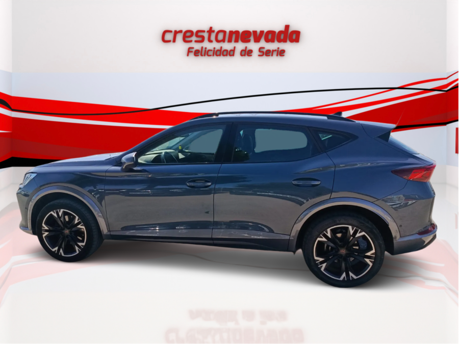 Imagen de cupra Formentor
