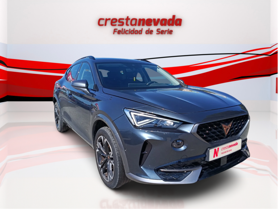 Imagen de cupra Formentor