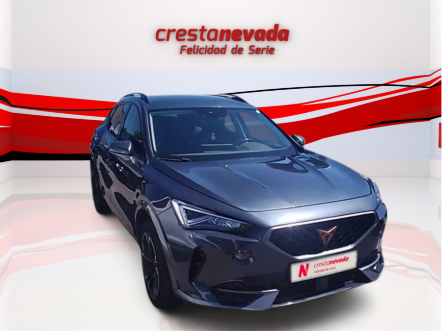 Imagen de cupra Formentor