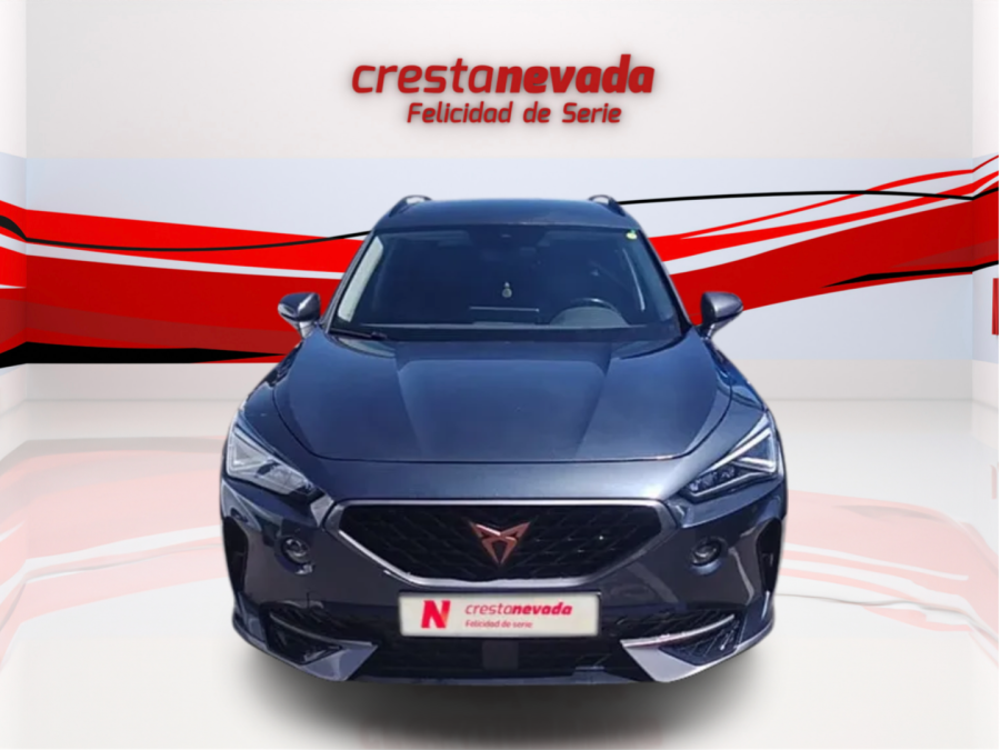 Imagen de cupra Formentor