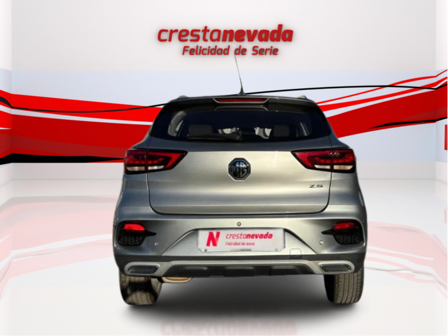 Imagen de Mg ZS
