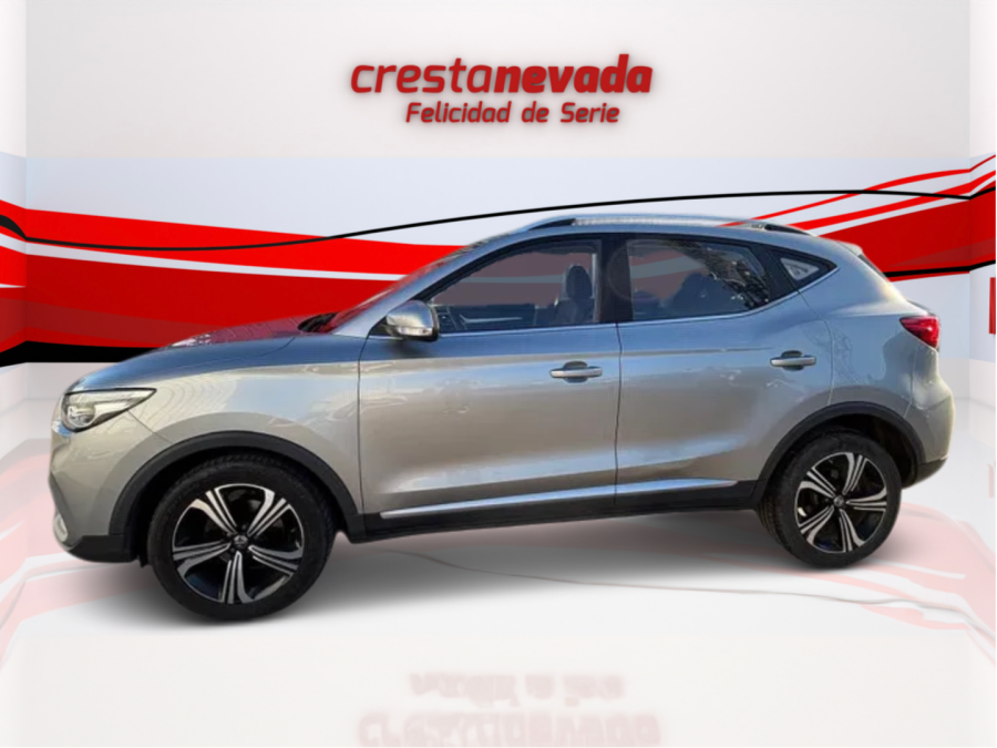 Imagen de Mg ZS