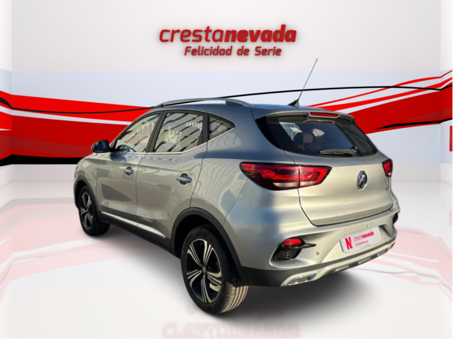 Imagen de Mg ZS