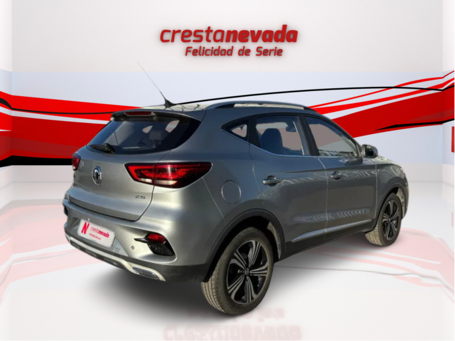 Imagen de Mg ZS