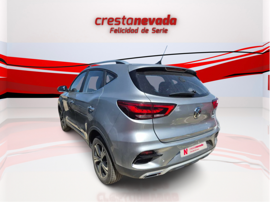 Imagen de Mg ZS