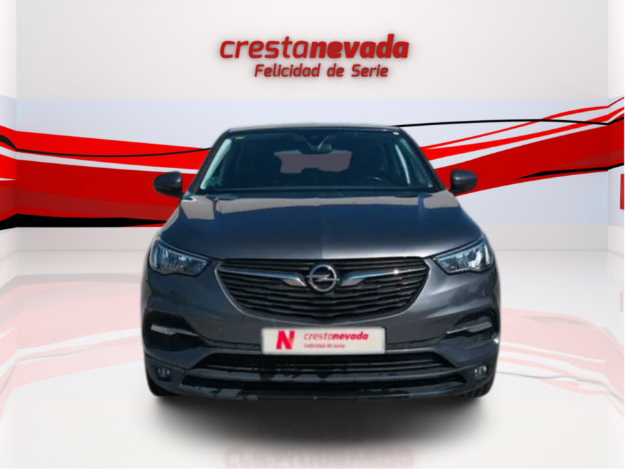 Imagen de Opel Grandland X