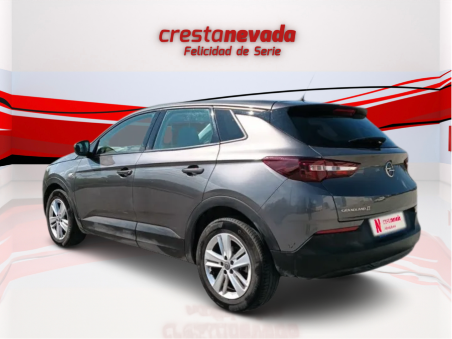 Imagen de Opel Grandland X