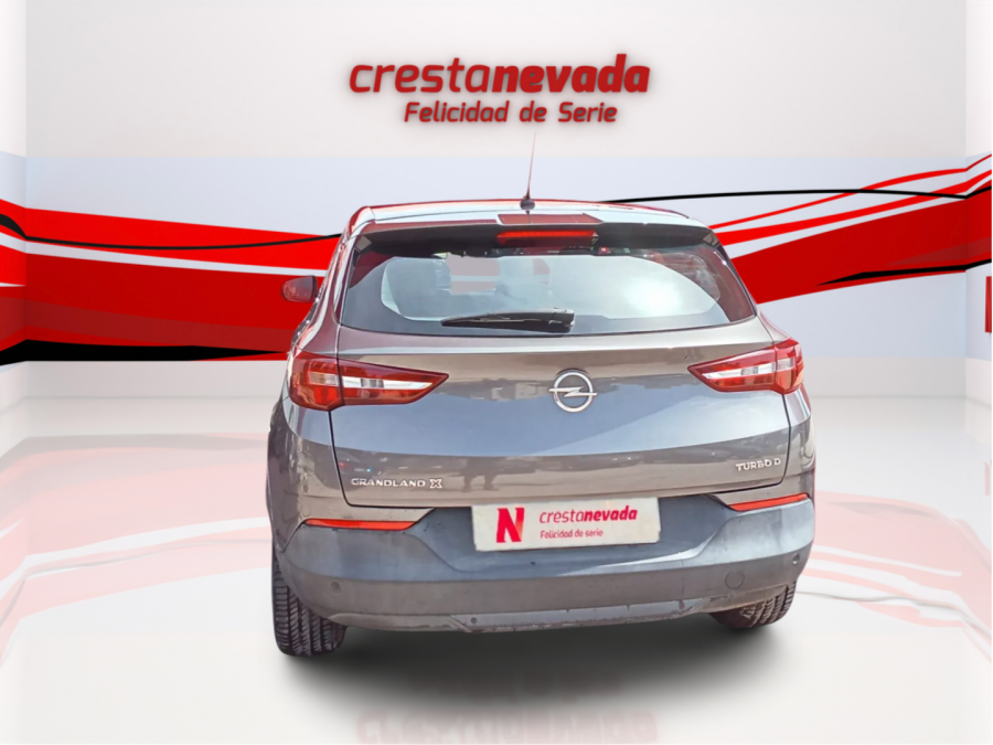 Imagen de Opel Grandland X