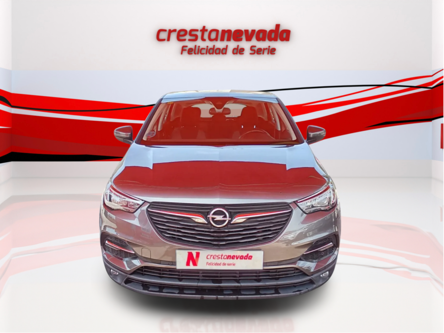 Imagen de Opel Grandland X