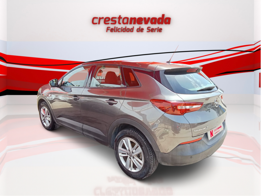 Imagen de Opel Grandland X