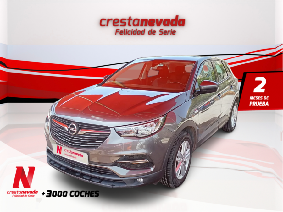 Imagen de Opel Grandland X