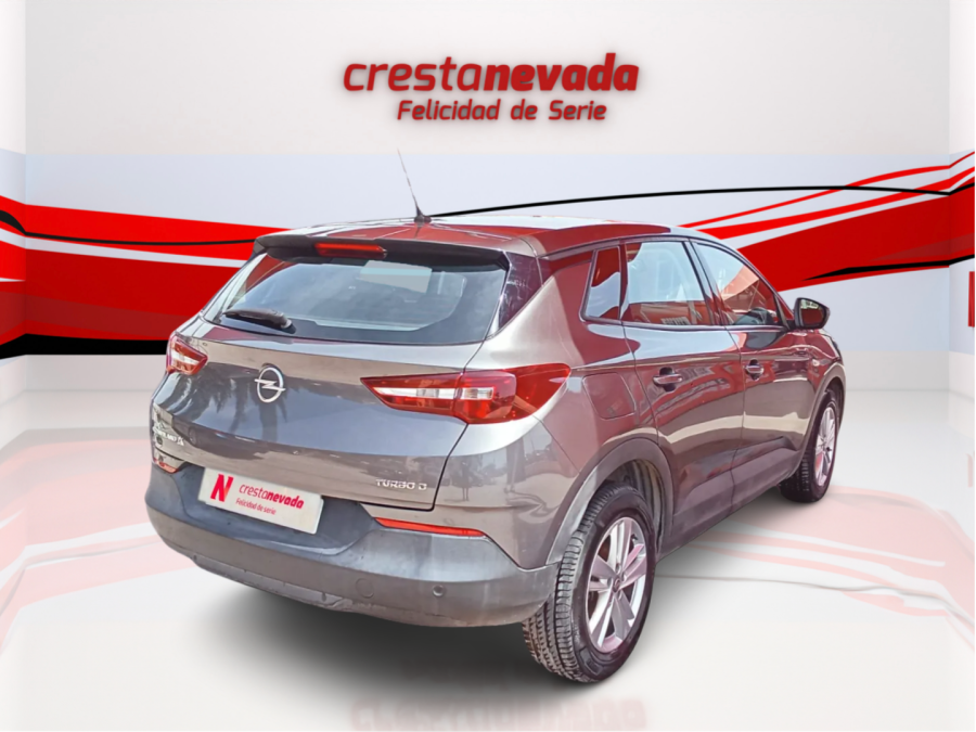 Imagen de Opel Grandland X