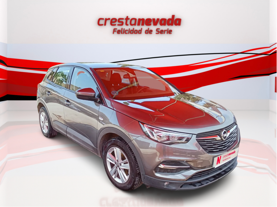 Imagen de Opel Grandland X