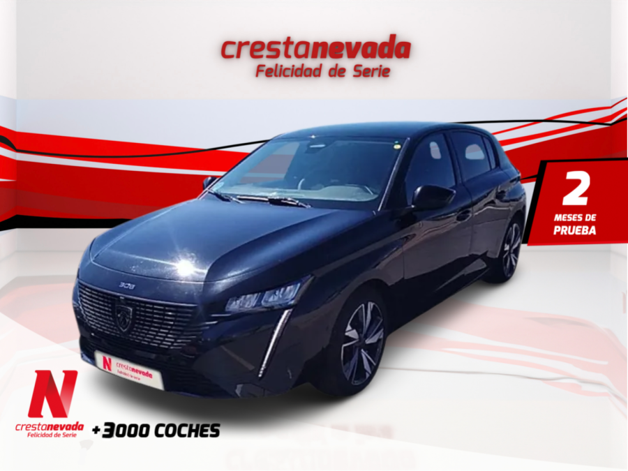 Imagen de Peugeot 308