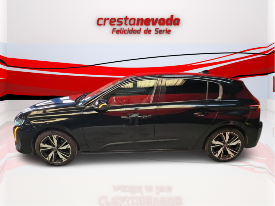 Imagen de Peugeot 308