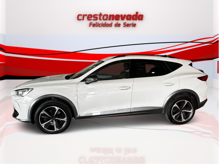 Imagen de cupra Formentor