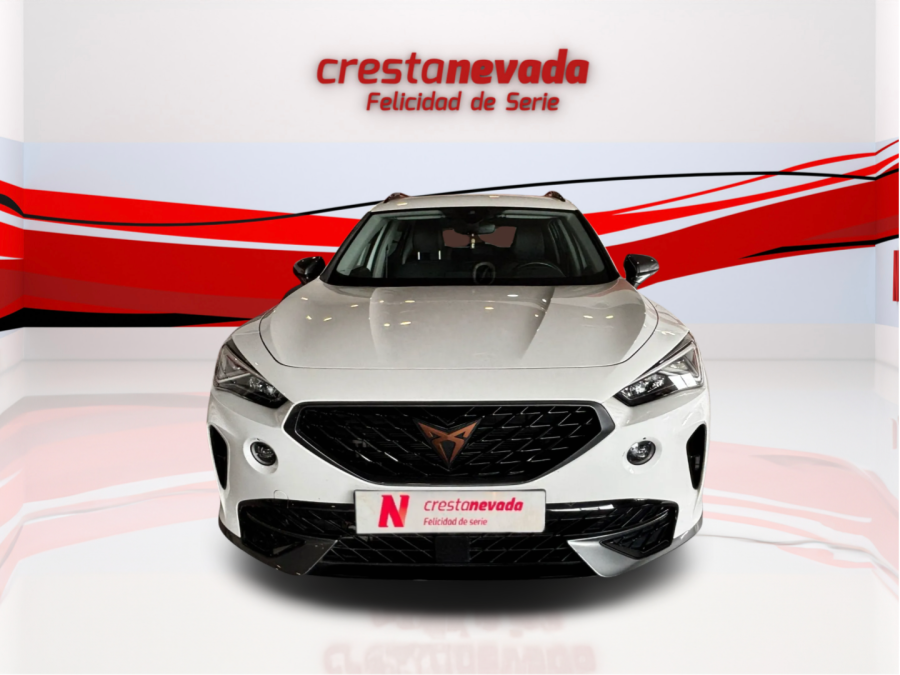 Imagen de cupra Formentor