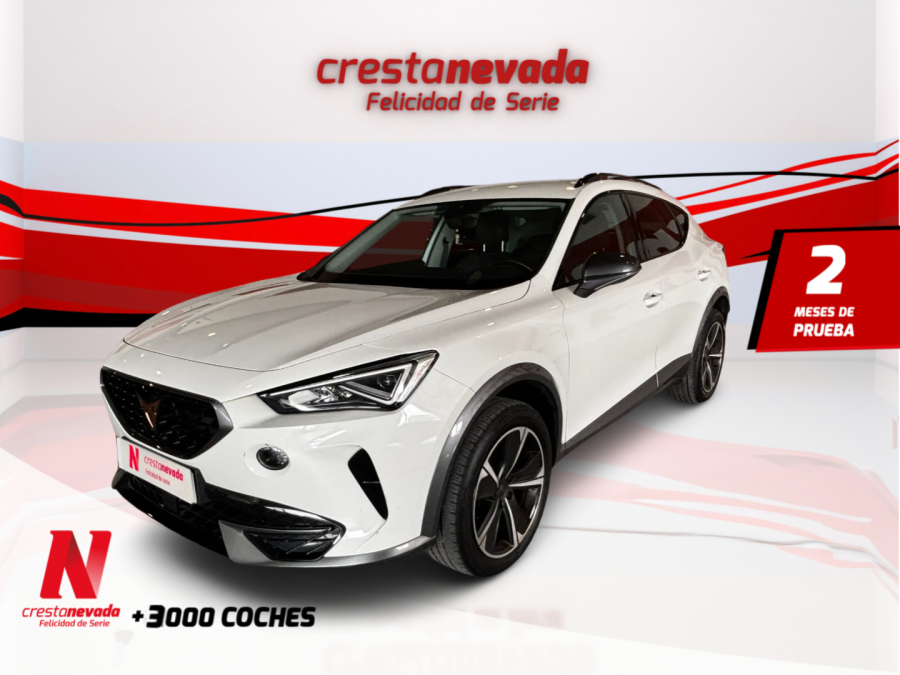 Imagen de cupra Formentor