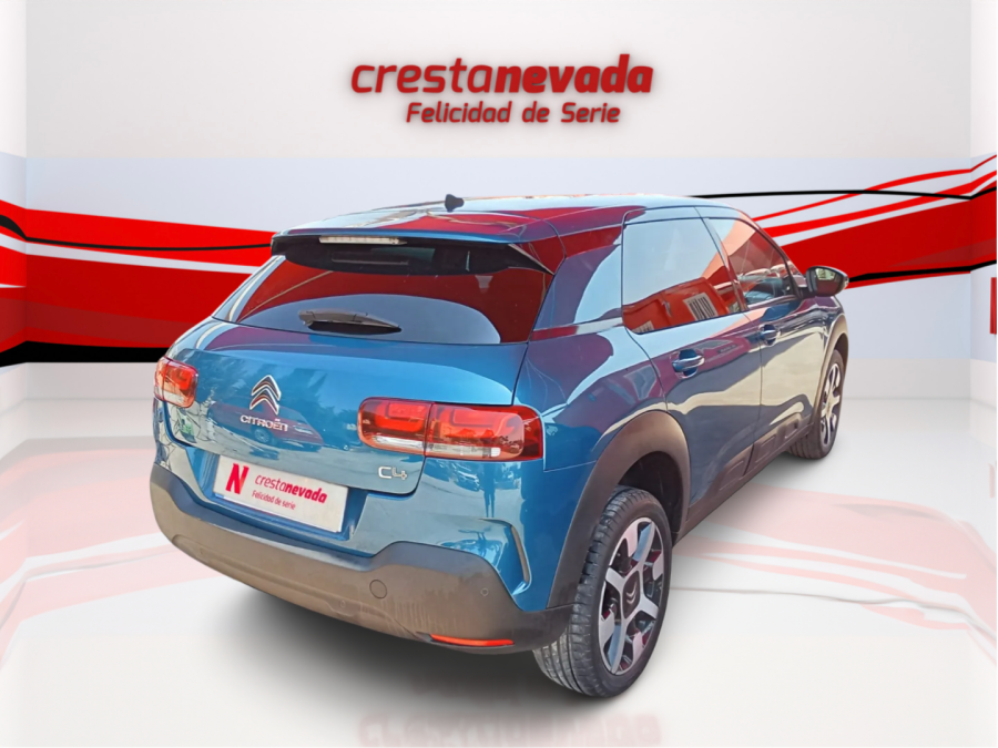 Imagen de CITROEN C4 Cactus