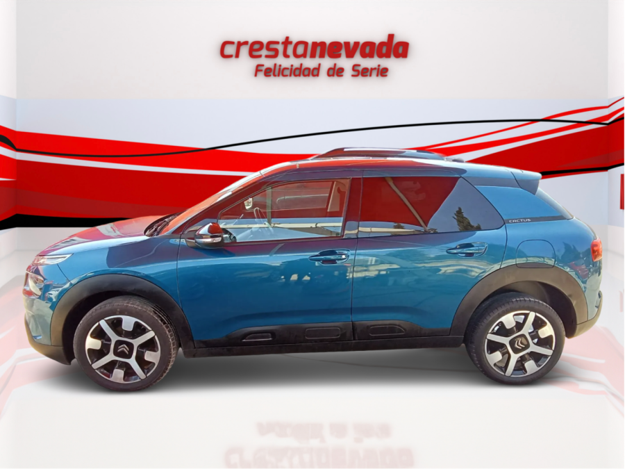 Imagen de CITROEN C4 Cactus