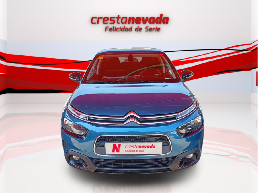 Imagen de CITROEN C4 Cactus