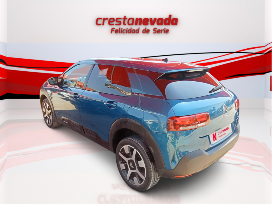 Imagen de CITROEN C4 Cactus