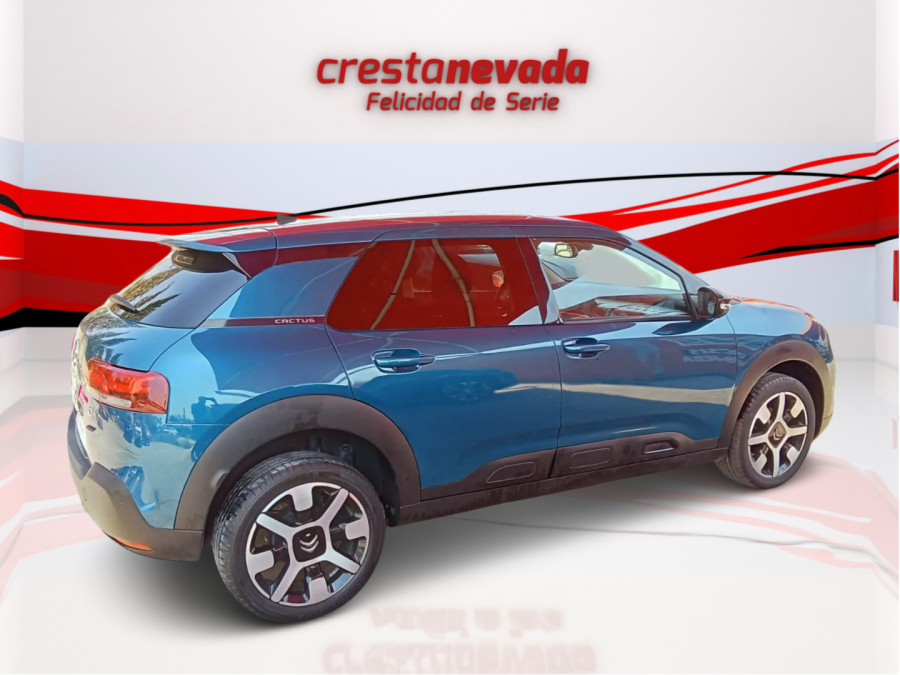 Imagen de CITROEN C4 Cactus
