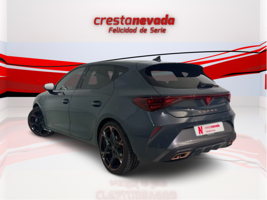 Imagen de cupra León