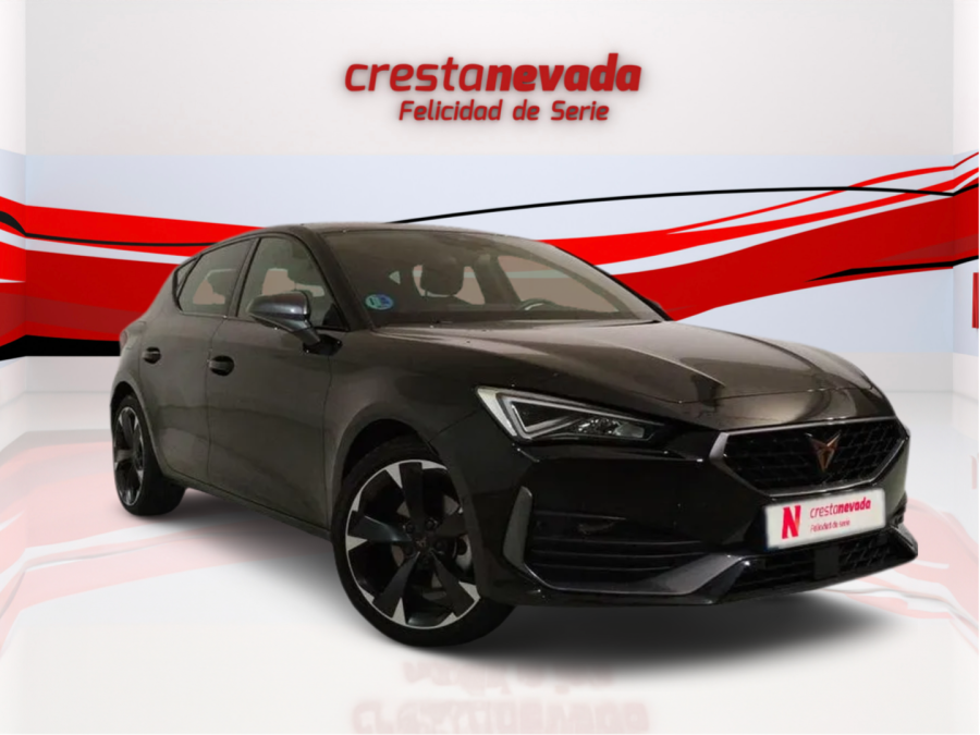 Imagen de cupra León