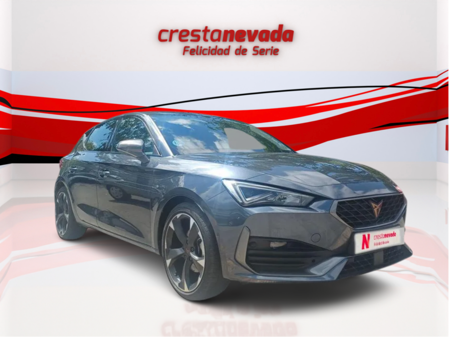 Imagen de cupra León