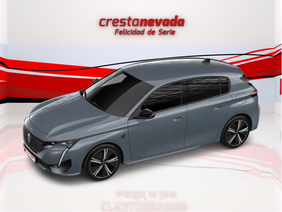 Imagen de Peugeot 308