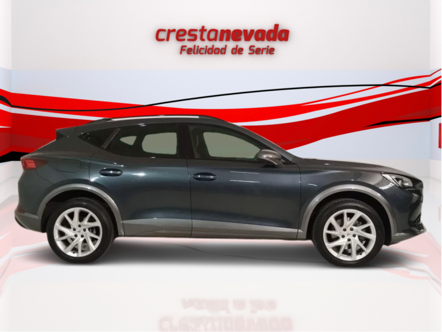 Imagen de cupra Formentor