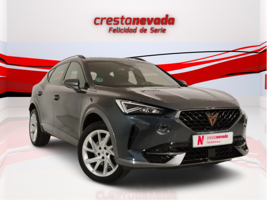 Imagen de cupra Formentor