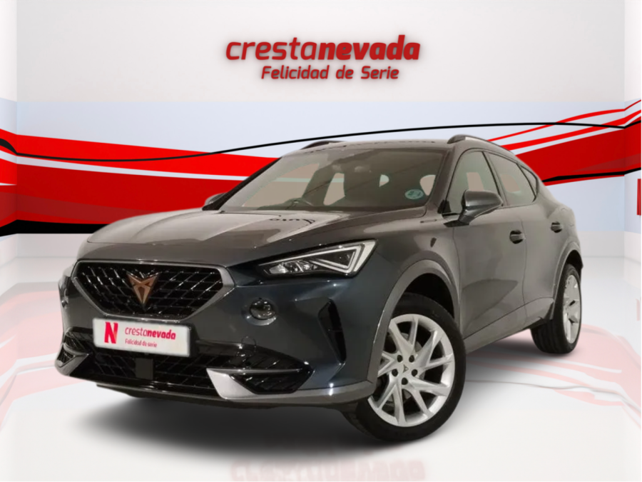 Imagen de cupra Formentor
