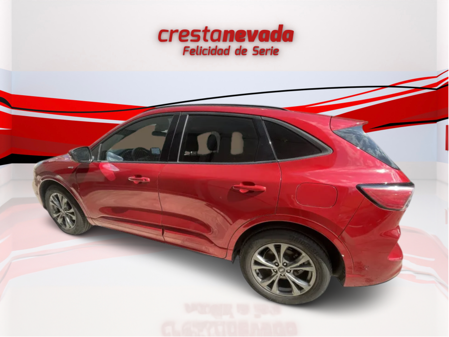 Imagen de Ford Kuga