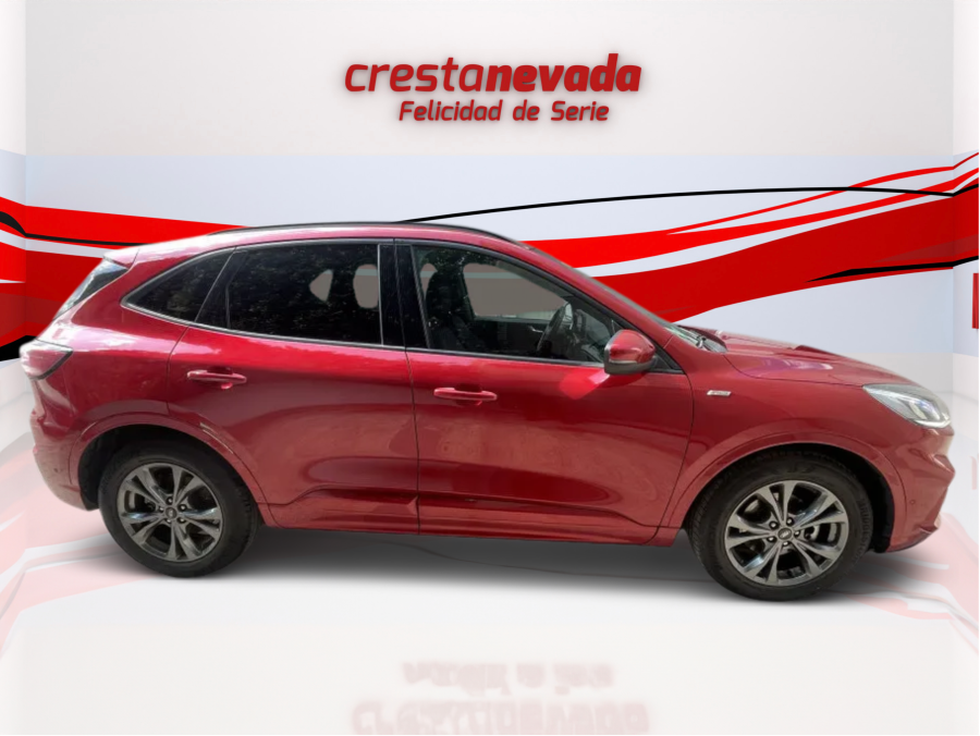 Imagen de Ford Kuga