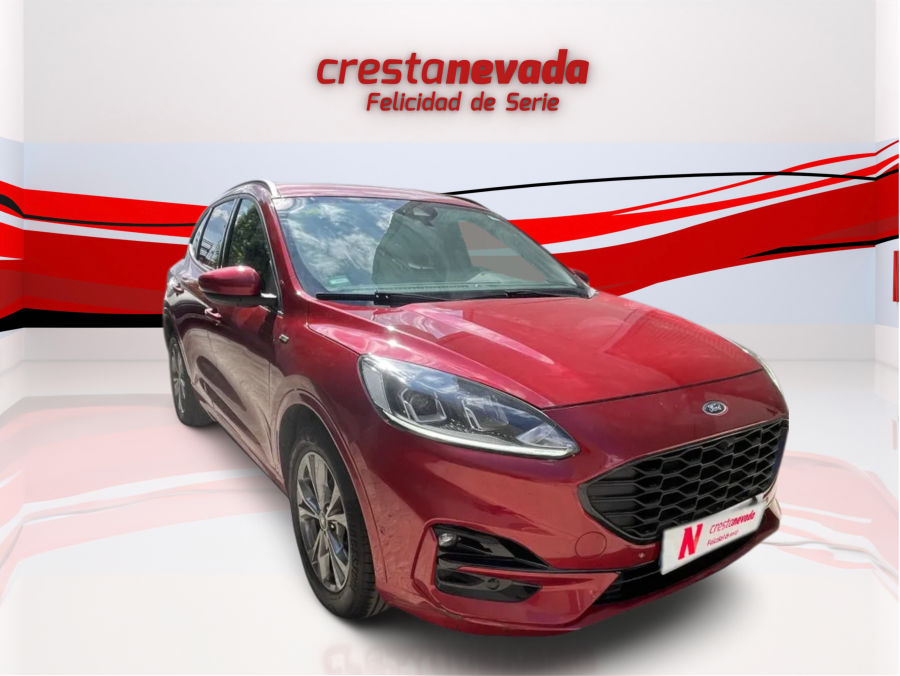Imagen de Ford Kuga