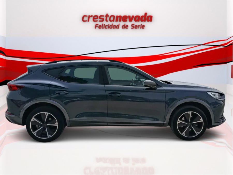 Imagen de cupra Formentor