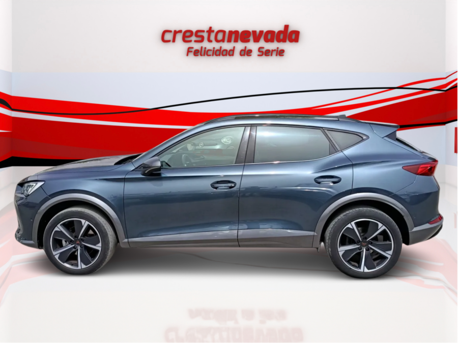 Imagen de cupra Formentor