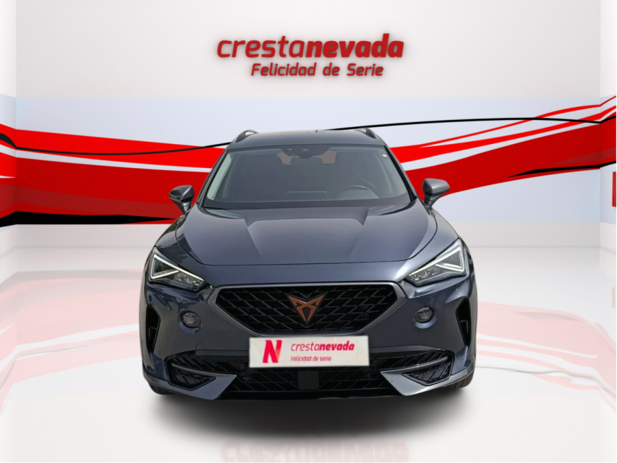 Imagen de cupra Formentor