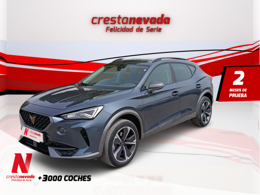 Imagen de cupra Formentor