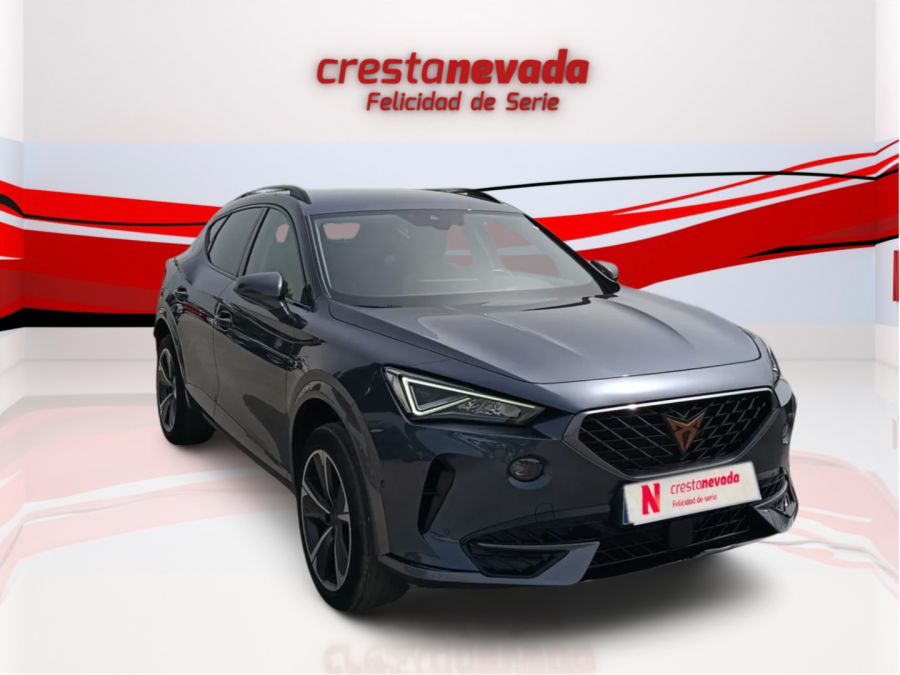 Imagen de cupra Formentor