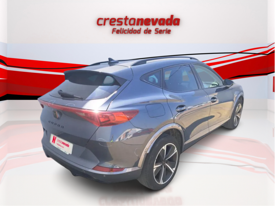 Imagen de cupra Formentor
