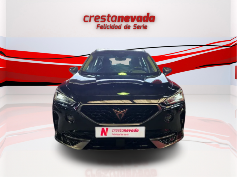 Imagen de cupra Formentor
