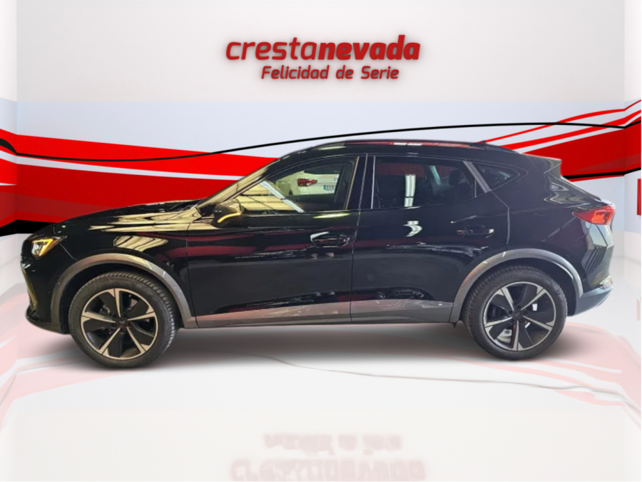 Imagen de cupra Formentor