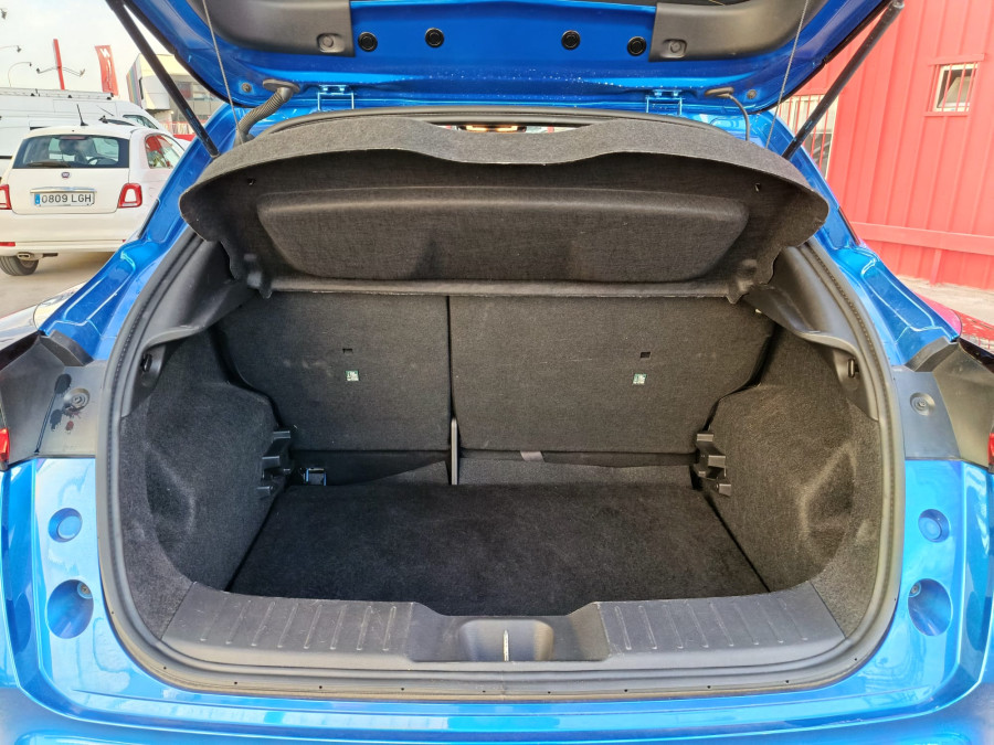 Imagen de NISSAN JUKE